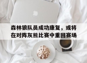 bet365靠谱吗-森林狼队员成功康复，或将在对阵灰熊比赛中重回赛场