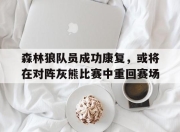 bet365靠谱吗-森林狼队员成功康复，或将在对阵灰熊比赛中重回赛场